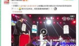 娱乐大爆料有哪些节目,盘点热门综艺节目，精彩瞬间尽收眼底